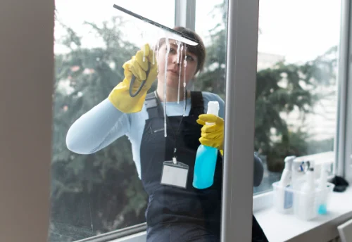 Nettoyage de vitres intérieures et extérieures à Saint-Christophe-et-le-Laris